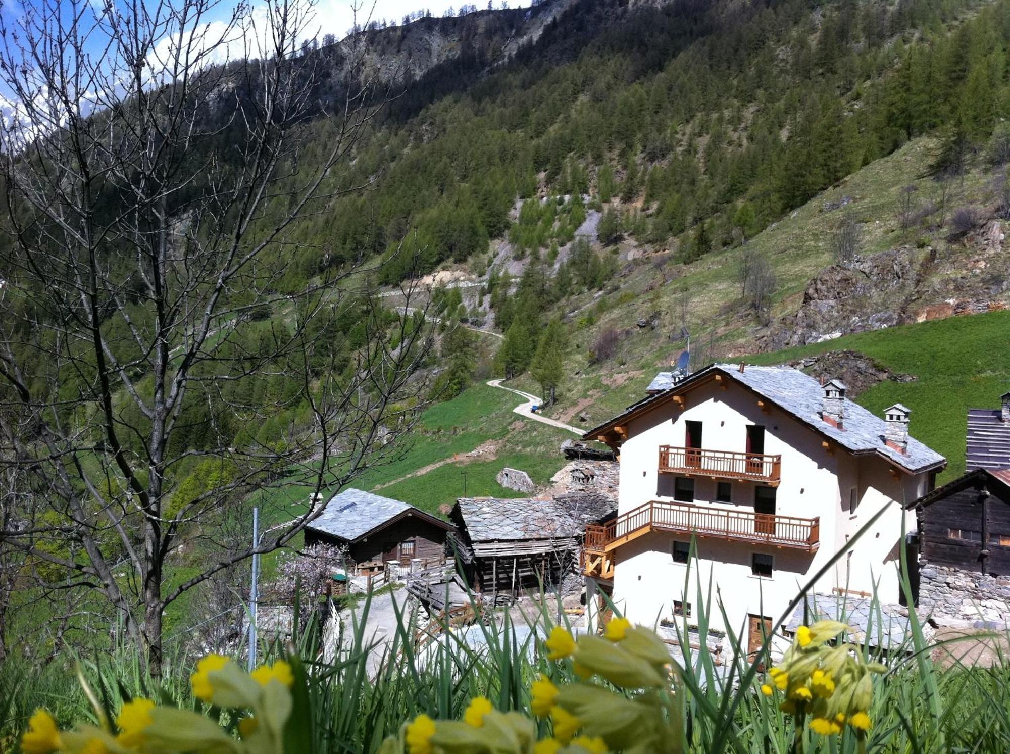 Alpe Rebelle Bed & Breakfast Bionaz Exterior foto