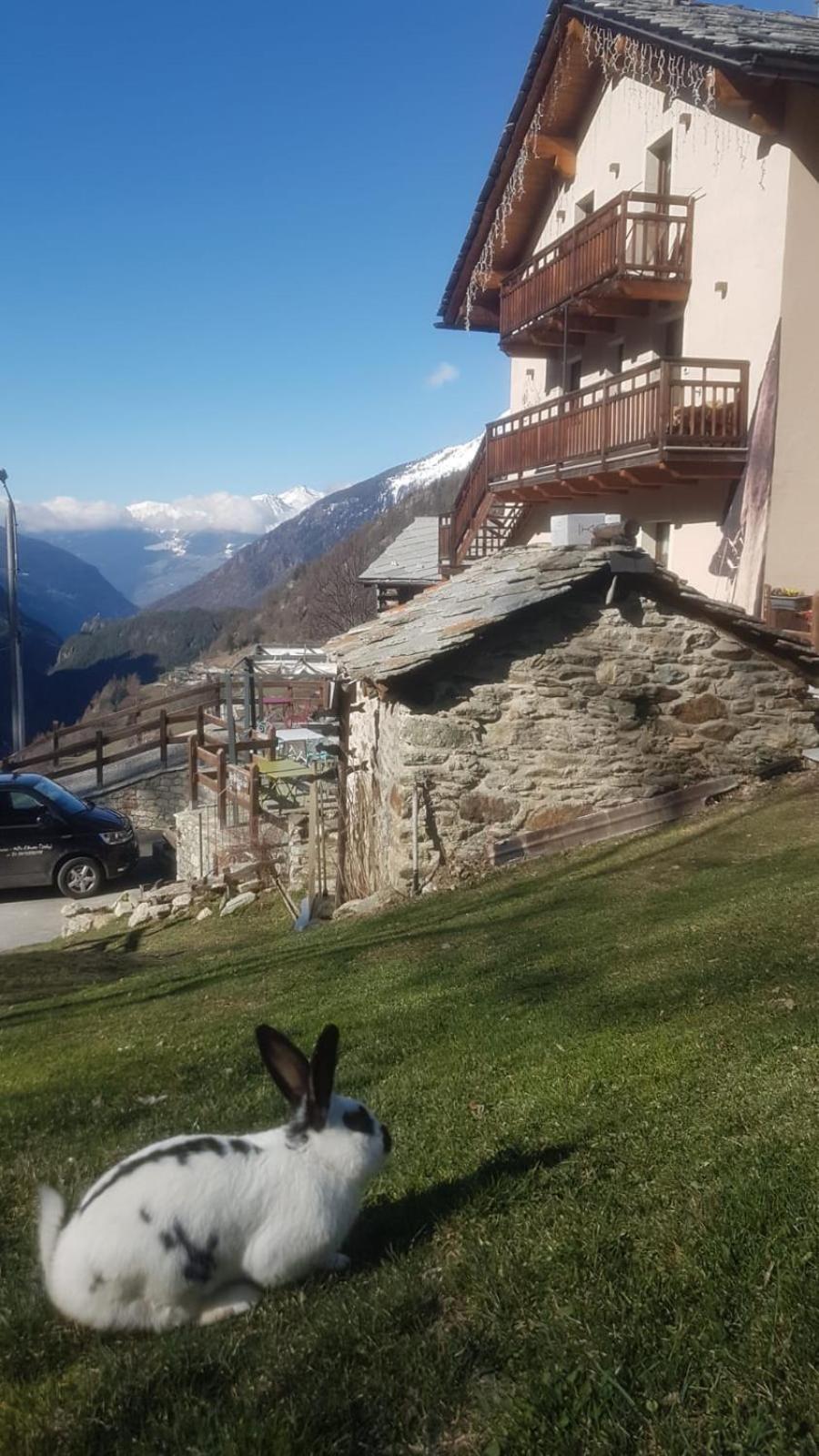 Alpe Rebelle Bed & Breakfast Bionaz Exterior foto